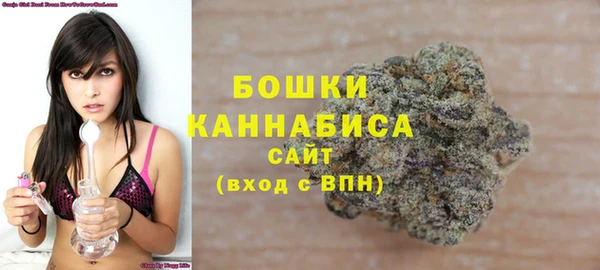 индика Пестово