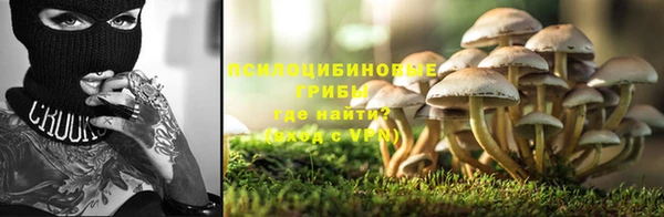 индика Пестово