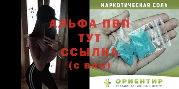 индика Пестово