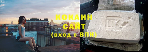 крисы Няндома