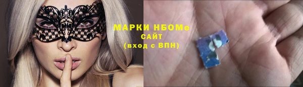 индика Пестово