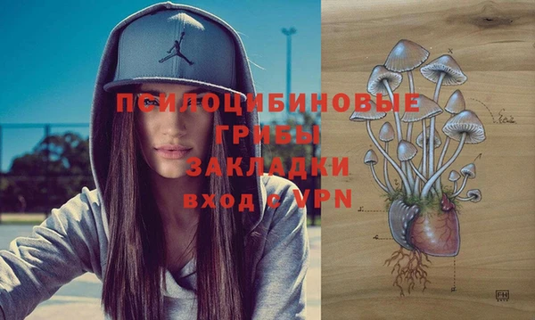 PSILOCYBIN Пересвет