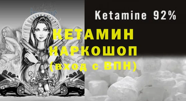 индика Пестово
