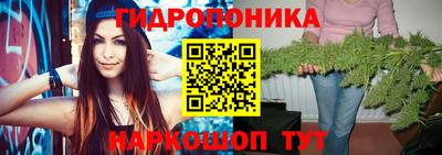 метадон Берёзовский