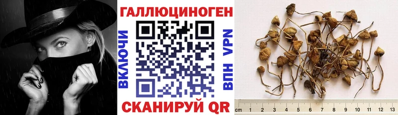Псилоцибиновые грибы MAGIC MUSHROOMS Красноперекопск