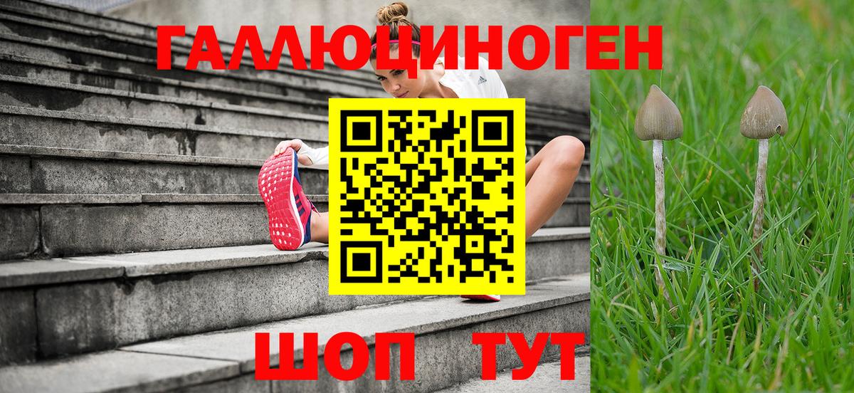 Псилоцибиновые грибы мухоморы Красноперекопск