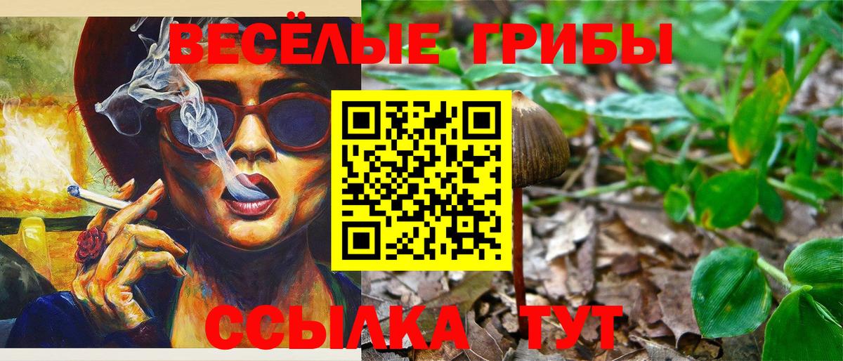 Псилоцибиновые грибы MAGIC MUSHROOMS  Вход с VPN  Красноперекопск  Псилоцибиновые грибы мицелий 