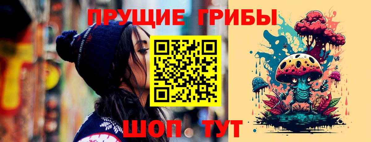 Галлюциногенные грибы Psilocybe  сколько стоит  Красноперекопск 